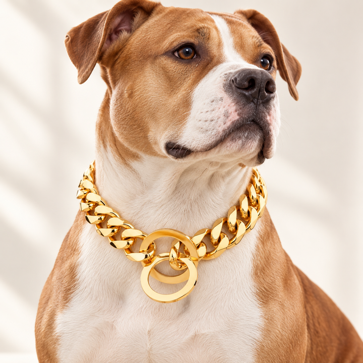 Hip Hop Cuban Chain Dog Collar 15mm Stainless Steel Pet Collar