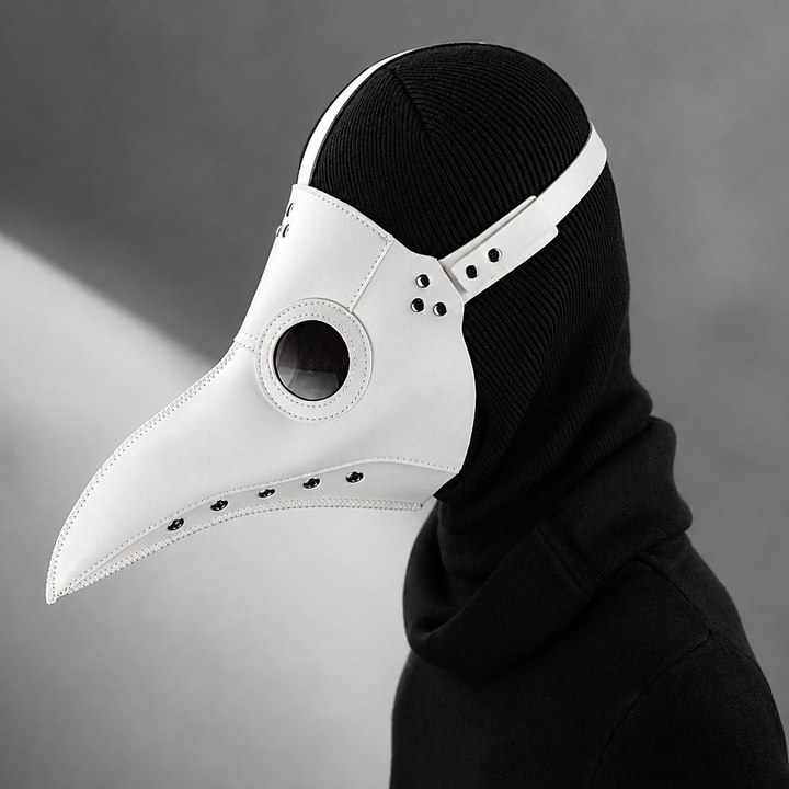 Plague Doctor Mask and Hat Steampunk Halloween Scary