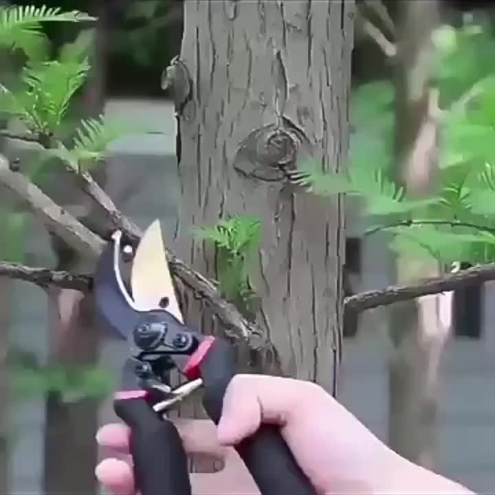 Pruning Shears Hand Pruners Garden Hedge Clippers 8.5 Inch