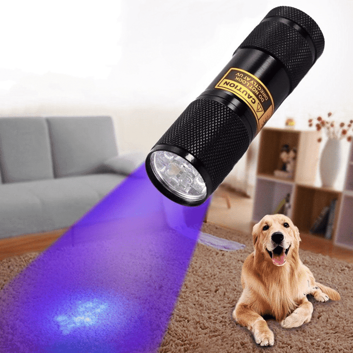 21 LED UV Pocket Flashlight Portable UV LED Light Lamp
