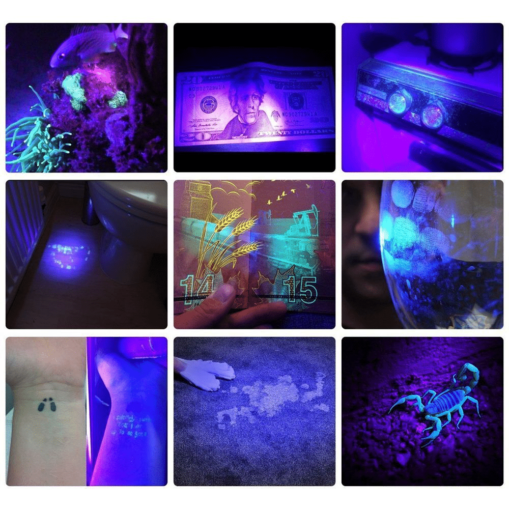 21 LED UV Pocket Flashlight Portable UV LED Light Lamp