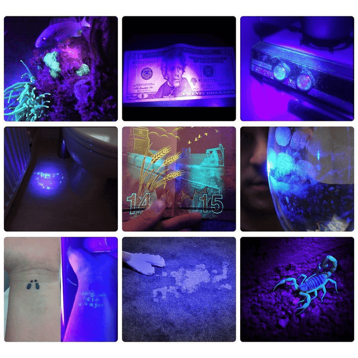 21 LED UV Pocket Flashlight Portable UV LED Light Lamp