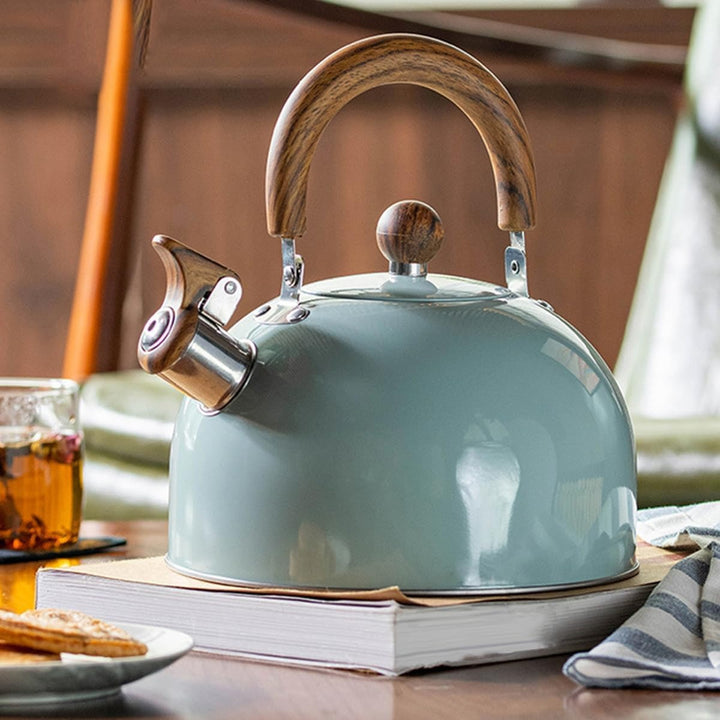 Stove Top Whistling Kettle Stainless Steel Tea Kettle