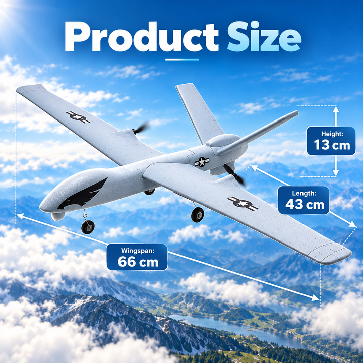 RC Plane Predator Z51 Remote Control Glider 2.4G Fixed Wing Aircraft