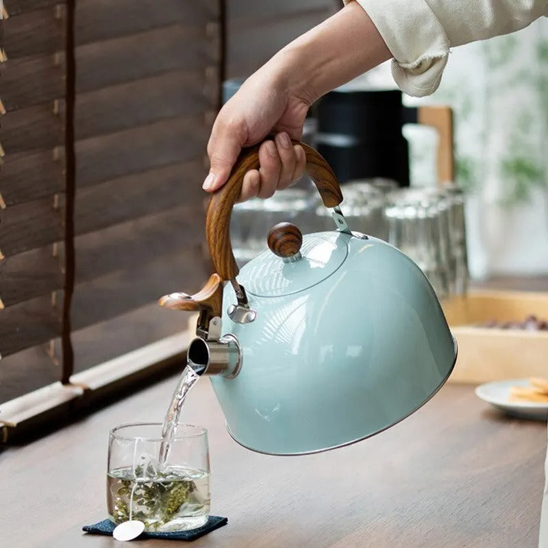 Stove Top Whistling Kettle Stainless Steel Tea Kettle