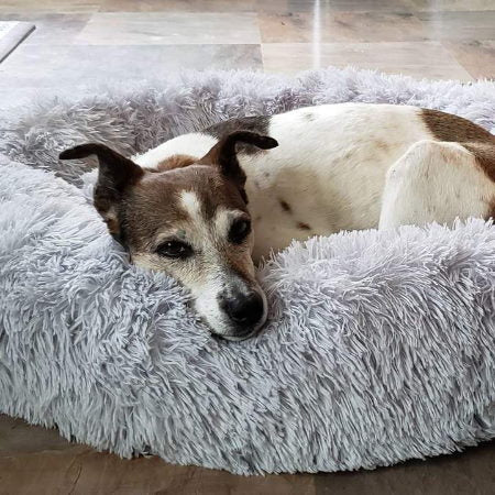 Circular Dog Bed with Removable Cover Calming Pet Bed