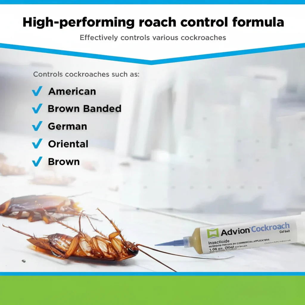 Cockroach Killer Gel Bait Syringe Indoor Pest Control