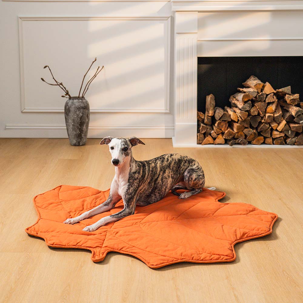 Large Dog Blanket Pet Bed Cover Washable Mat