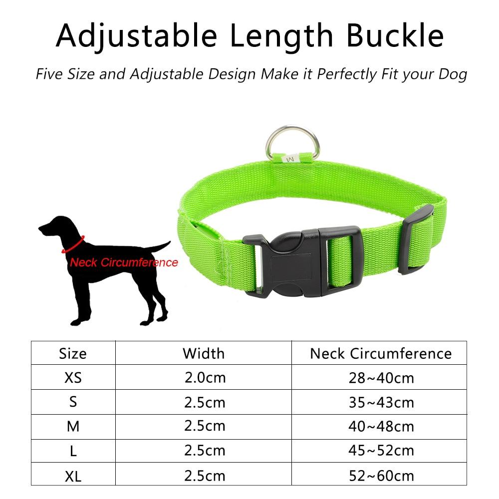 Light Up Dog Collar Rechargeable LED Flashing Adjustable Night Safe