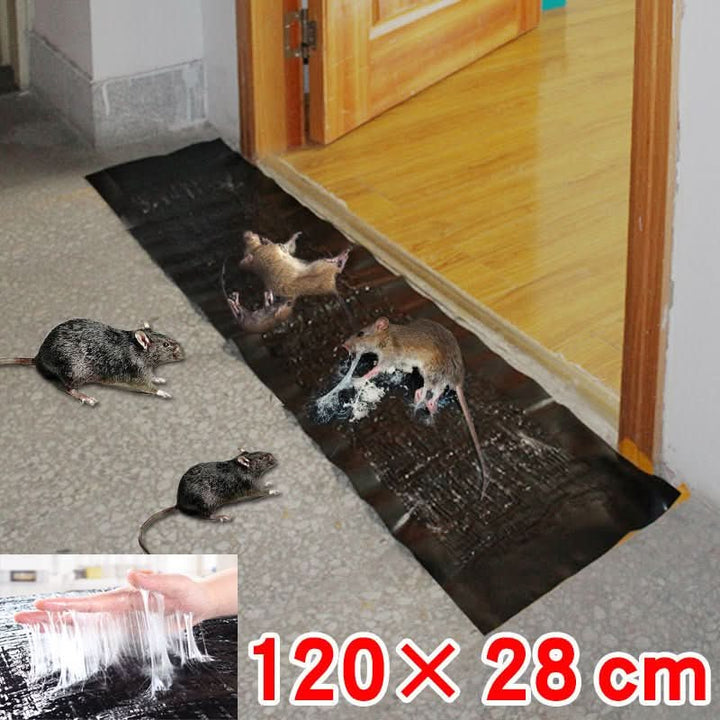 Large Sticky Mouse Trap Non Toxic Glue Pest Control Trap