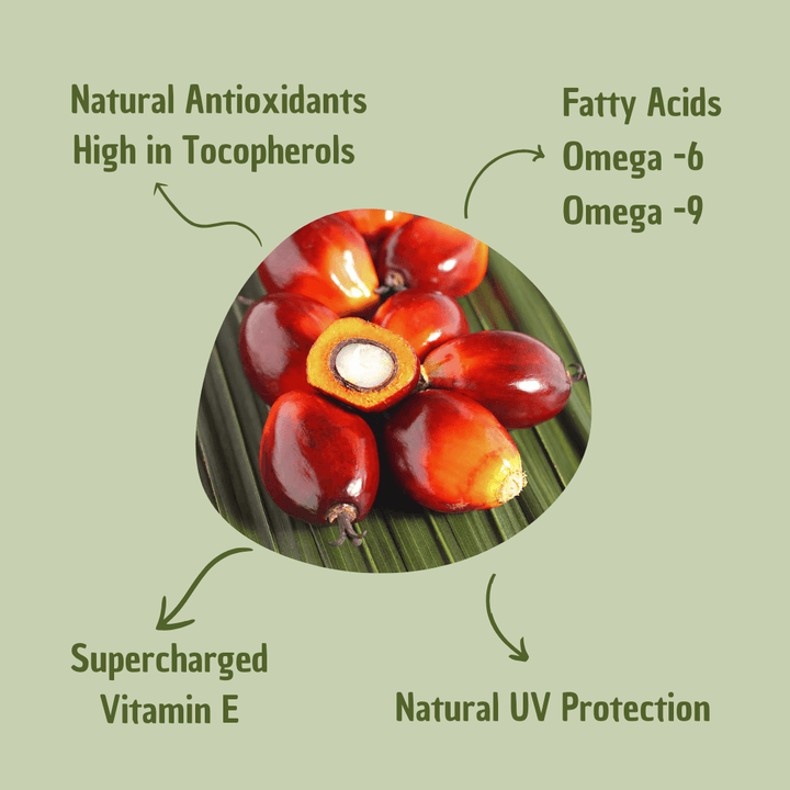 Hair Oil Natural Treatment for Hair Care