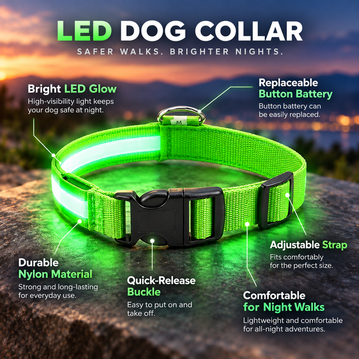 Light Up Dog Collar Rechargeable LED Flashing Adjustable Night Safe