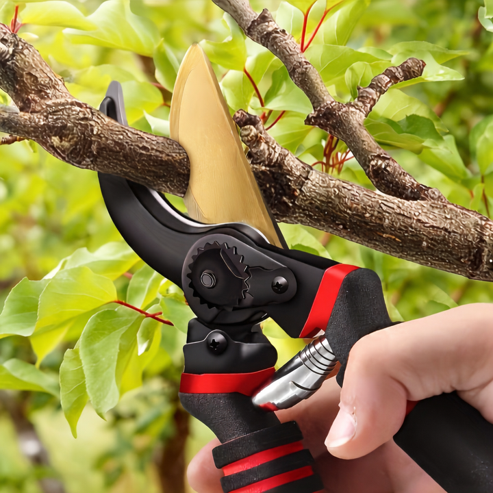 Pruning Shears Hand Pruners Garden Hedge Clippers 8.5 Inch