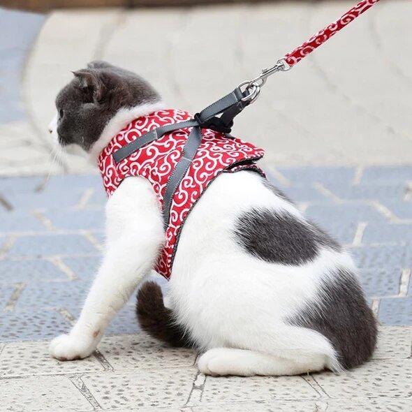 Adjustable Cat Harness Pet Harness for Cats