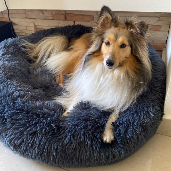 Circular Dog Bed with Removable Cover Calming Pet Bed