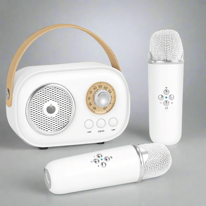 Portable Karaoke Machine Bluetooth Speaker Audio System Set