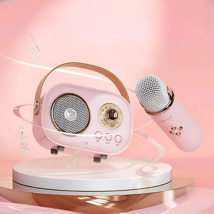 Portable Karaoke Machine Bluetooth Speaker Audio System Set