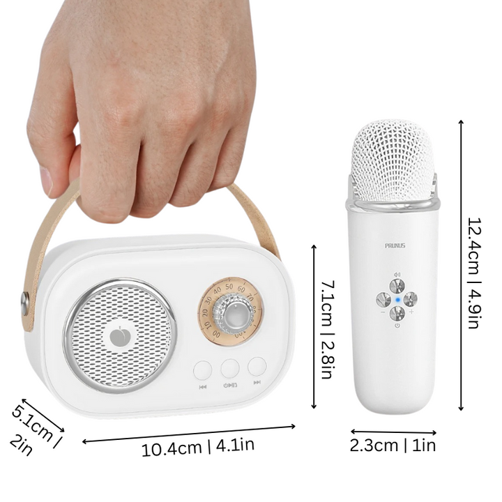 Portable Karaoke Machine Bluetooth Speaker Audio System Set
