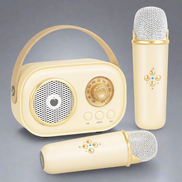 Portable Karaoke Machine Bluetooth Speaker Audio System Set