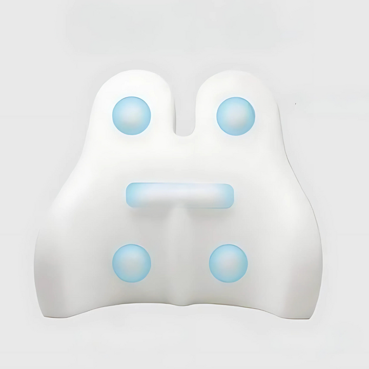 Memory Foam Lumbar Support Cushion Pillow for Back Pain Relief