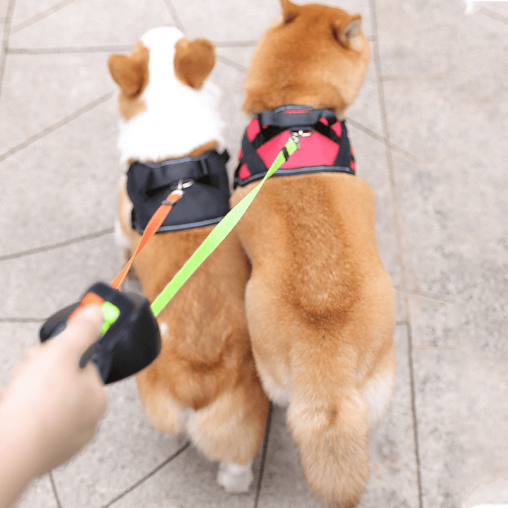 Double Dog Leash with Built-in LED Flashlight