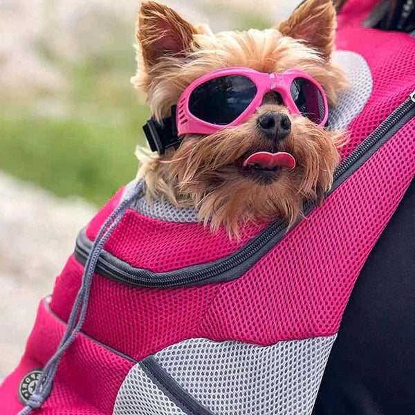 Adjustable Pet Carrier Backpack for Dogs and Cats