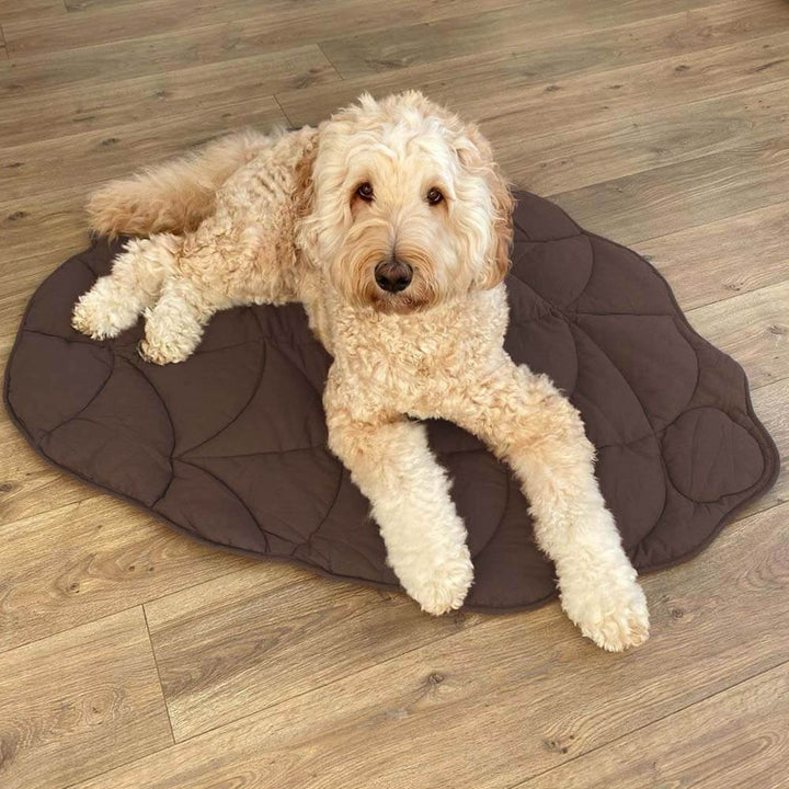 Large Dog Blanket Pet Bed Cover Washable Mat