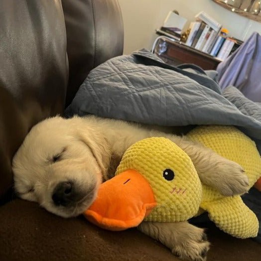 Dog Plush Chew Toy Duck Shape