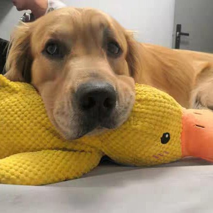 Dog Plush Chew Toy Duck Shape