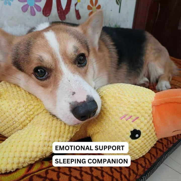 Dog Plush Chew Toy Duck Shape