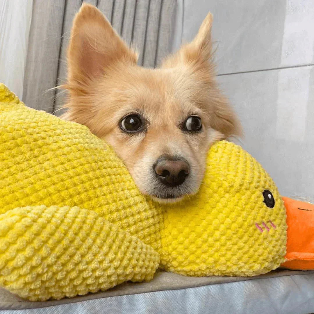Dog Plush Chew Toy Duck Shape
