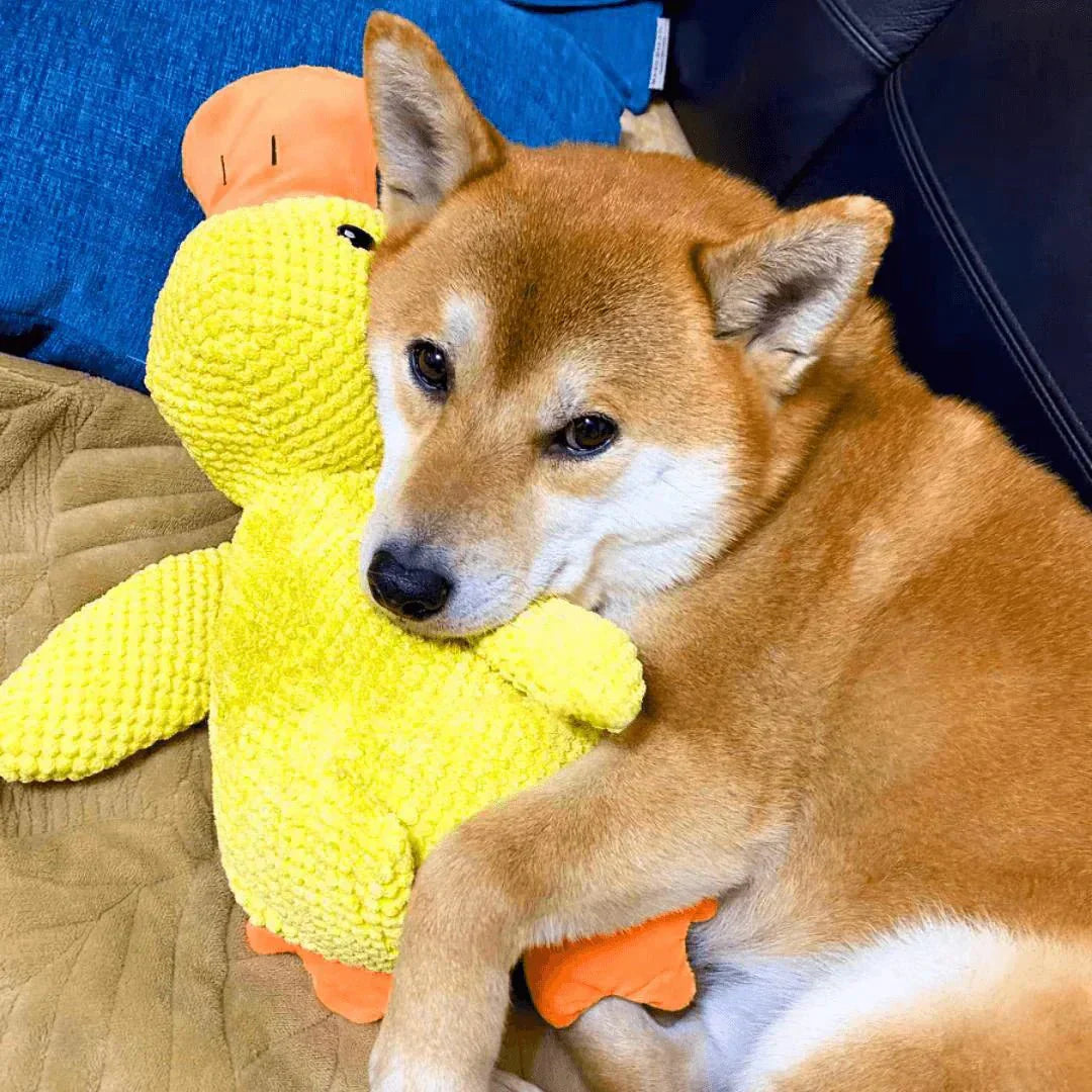 Dog Plush Chew Toy Duck Shape