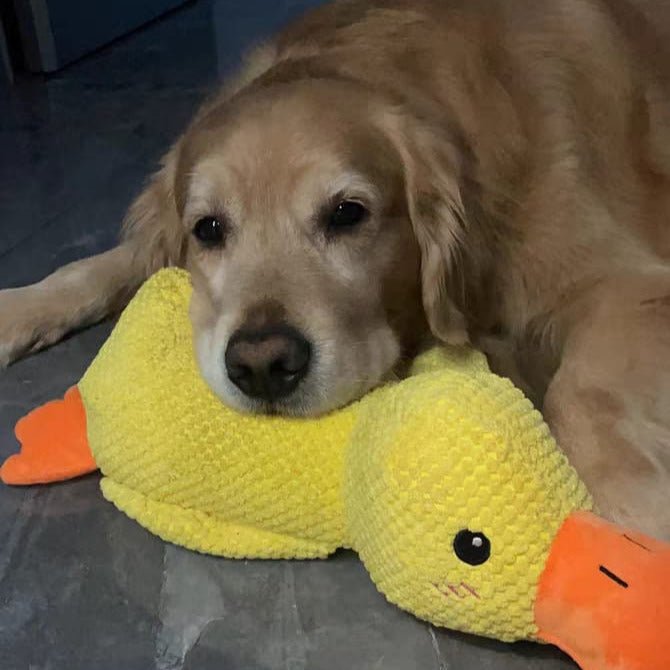 Dog Plush Chew Toy Duck Shape