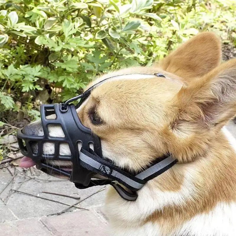 Adjustable Dog Muzzle Safety Canine Mesh Muzzle Secure Fit