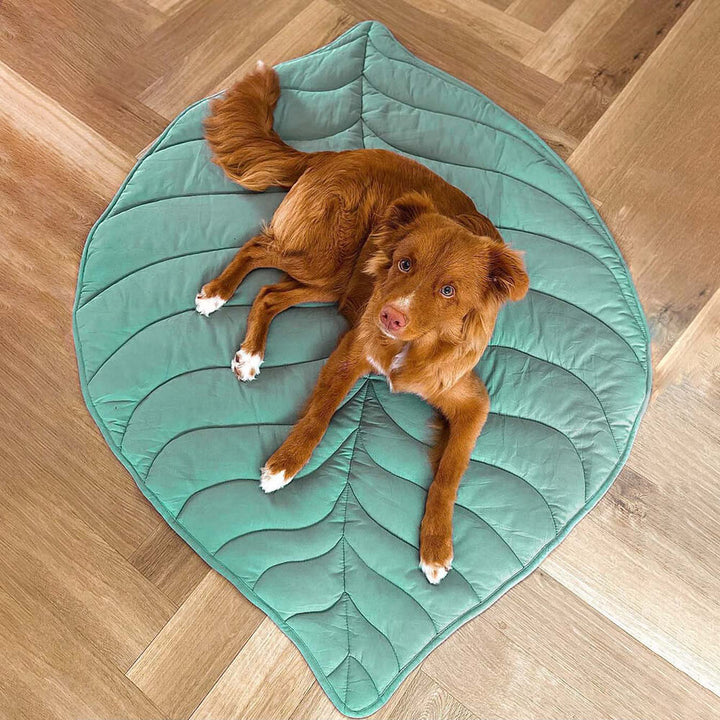 Large Dog Blanket Pet Bed Cover Washable Mat