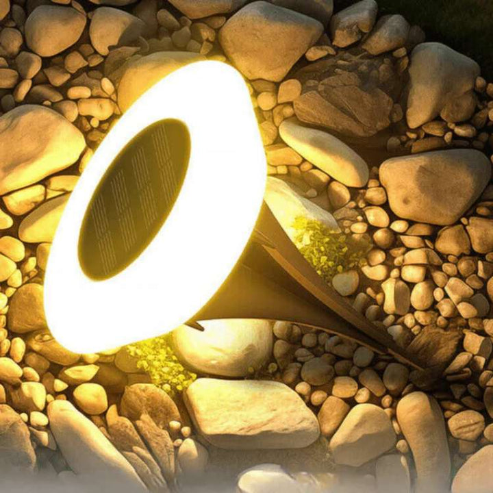 Solar Powered Outdoor Garden LED Lights Weather Resistant Rust Proof